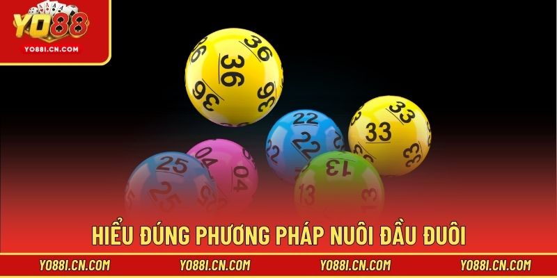 Hiểu đúng phương pháp nuôi đầu đuôi 